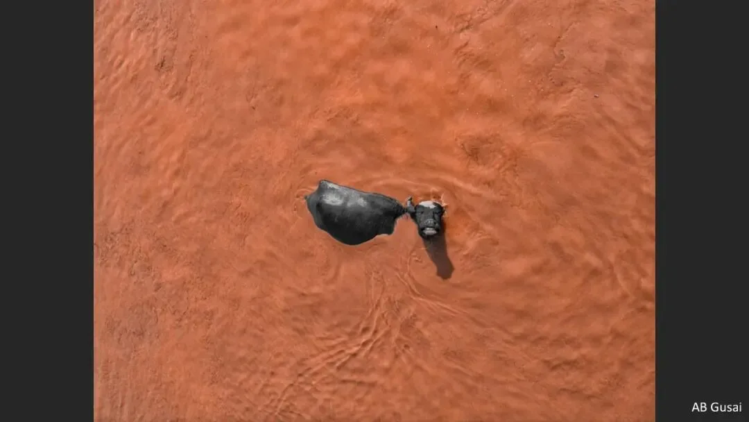 A Judge Reveals the Criteria! Appreciation and Commentary on the DJI 10th Anniversary Aerial Photography Awards!