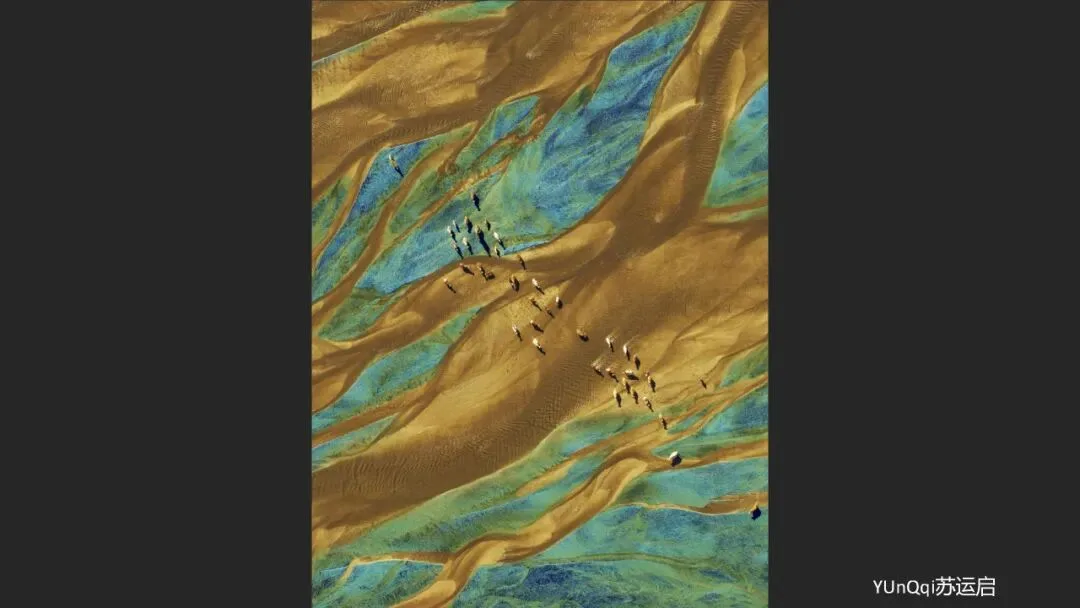 A Judge Reveals the Criteria! Appreciation and Commentary on the DJI 10th Anniversary Aerial Photography Awards!