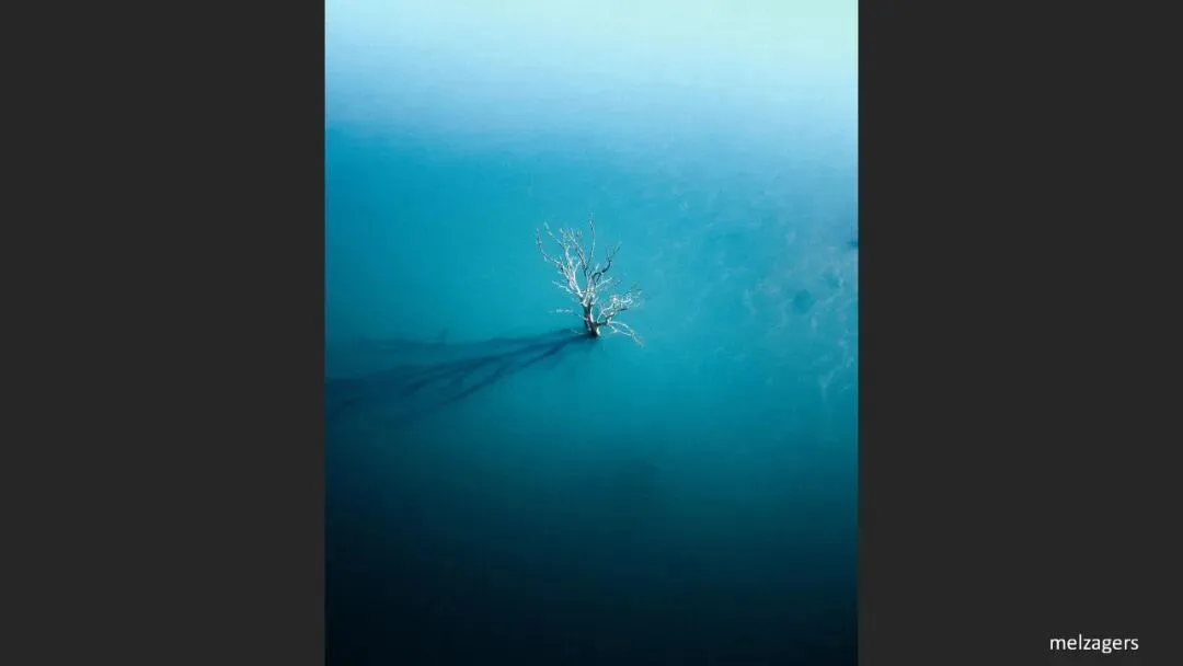 A Judge Reveals the Criteria! Appreciation and Commentary on the DJI 10th Anniversary Aerial Photography Awards!