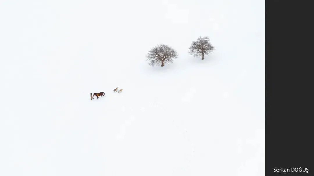A Judge Reveals the Criteria! Appreciation and Commentary on the DJI 10th Anniversary Aerial Photography Awards!