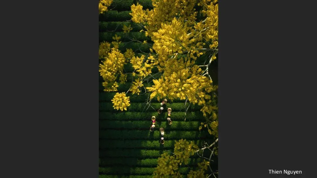 A Judge Reveals the Criteria! Appreciation and Commentary on the DJI 10th Anniversary Aerial Photography Awards!