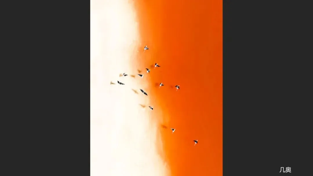 A Judge Reveals the Criteria! Appreciation and Commentary on the DJI 10th Anniversary Aerial Photography Awards!