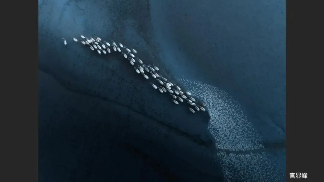 A Judge Reveals the Criteria! Appreciation and Commentary on the DJI 10th Anniversary Aerial Photography Awards!