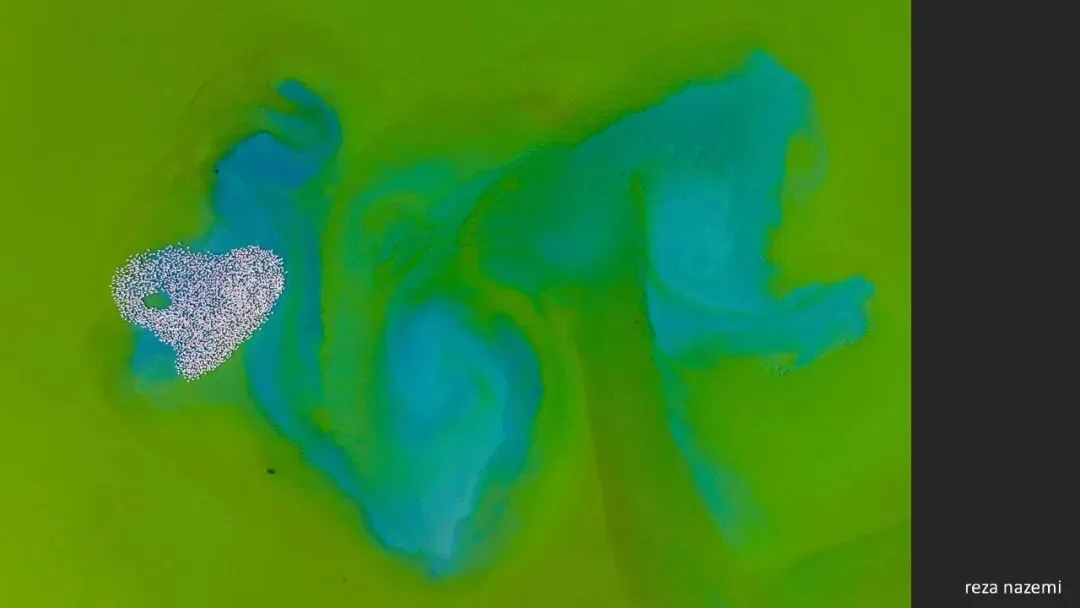 A Judge Reveals the Criteria! Appreciation and Commentary on the DJI 10th Anniversary Aerial Photography Awards!