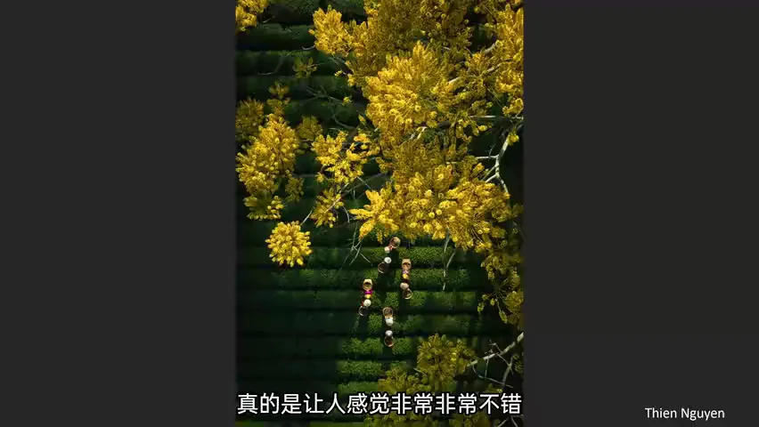 评委揭秘评选标准！大疆十周年航拍摄影大赛获奖赏析与点评！ · 图8