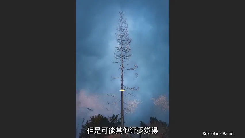 评委揭秘评选标准！大疆十周年航拍摄影大赛获奖赏析与点评！ · 图9