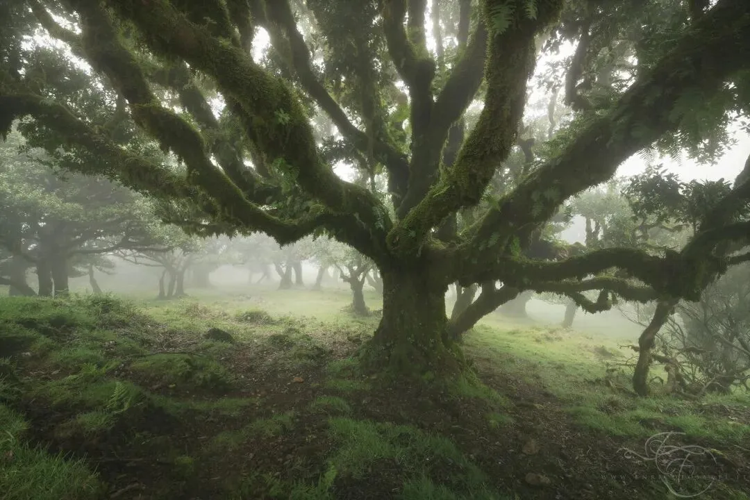 Dialogue with Landscape Photography Masters | Enrico Fossati: Make a Simple Dream · Fig. 6