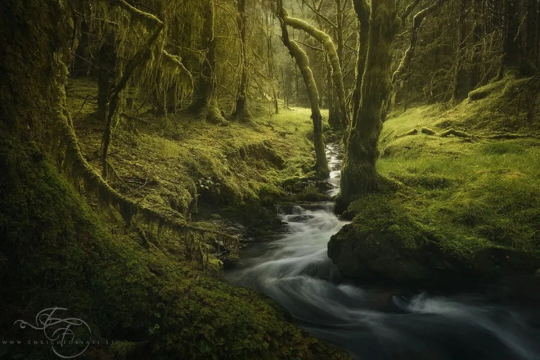 Dialogue with Landscape Photography Masters | Enrico Fossati: Make a Simple Dream · Fig. 7