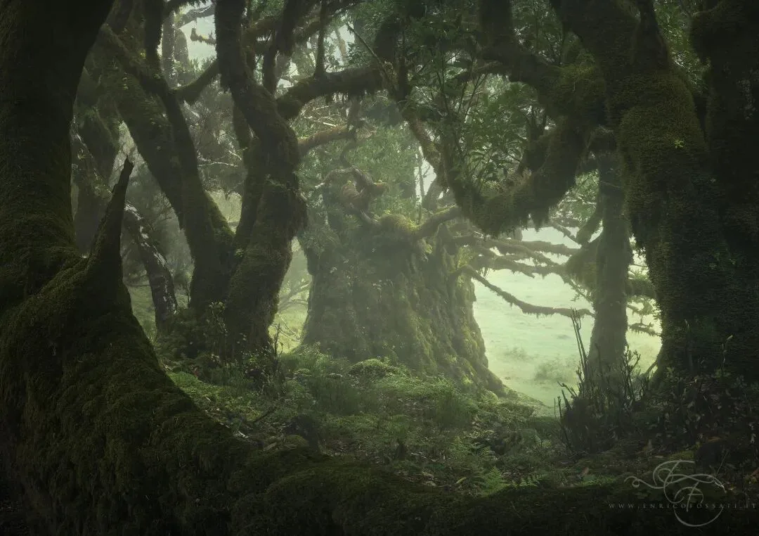 Dialogue with Landscape Photography Masters | Enrico Fossati: Make a Simple Dream · Fig. 9