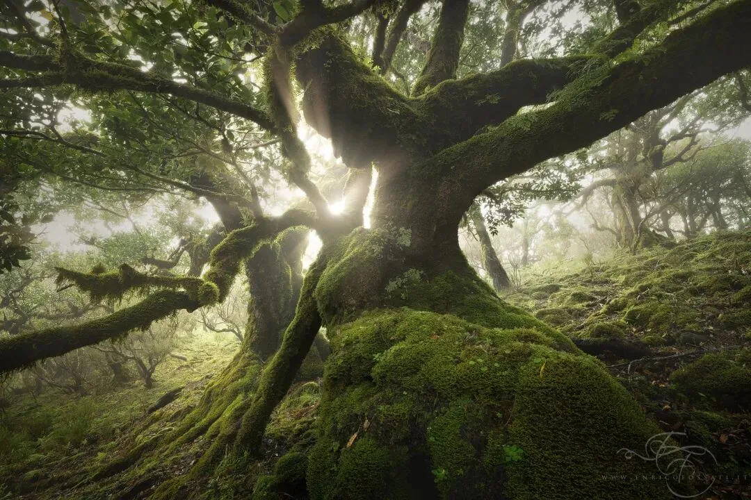 Dialogue with Landscape Photography Masters | Enrico Fossati: Make a Simple Dream · Fig. 17