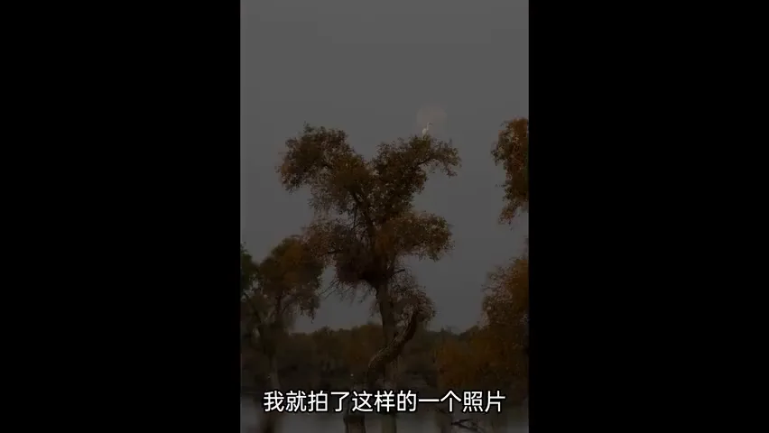 摄影15年，我最喜欢的10张照片背后的故事分享！ · 图8