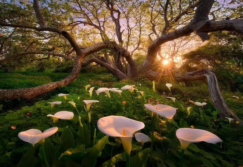 500px上最值得关注的5位风光摄影师 · 图25
