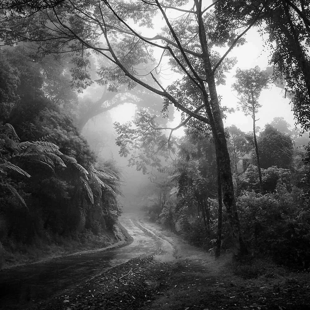 Hasselblad Masters Appreciation! My 5 Favorite Winners of the Hasselblad Masters Competition~ · Fig. 1