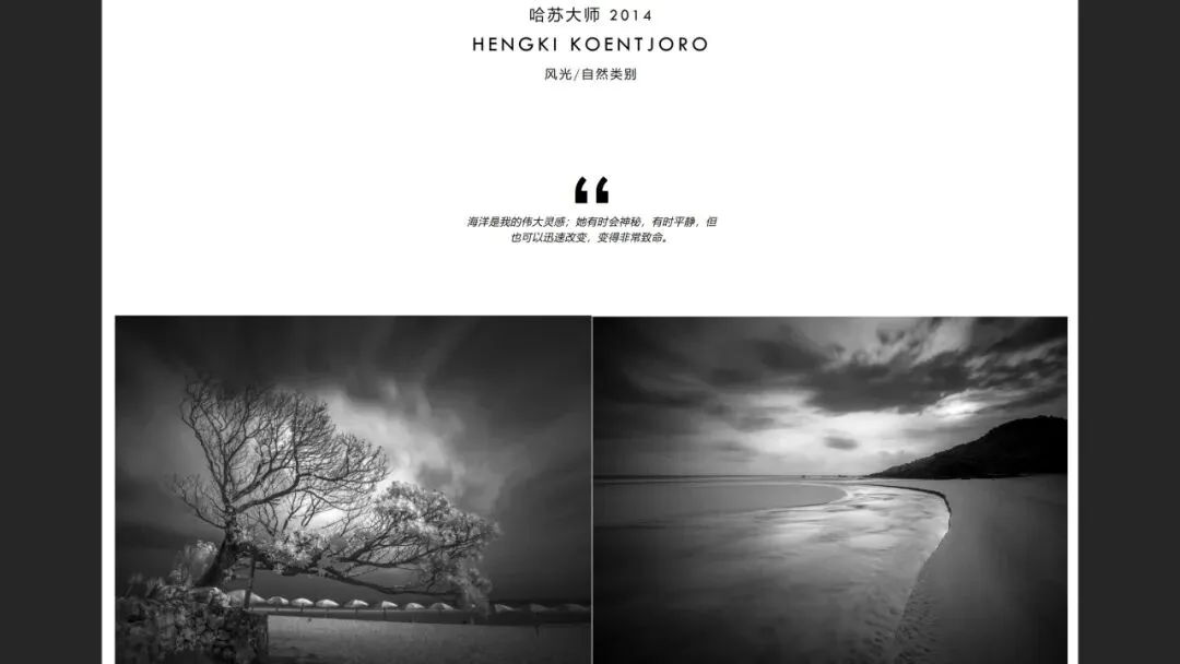 Hasselblad Masters Appreciation! My 5 Favorite Winners of the Hasselblad Masters Competition~ · Fig. 15