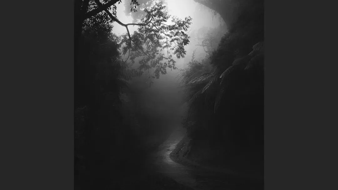 Hasselblad Masters Appreciation! My 5 Favorite Winners of the Hasselblad Masters Competition~ · Fig. 16