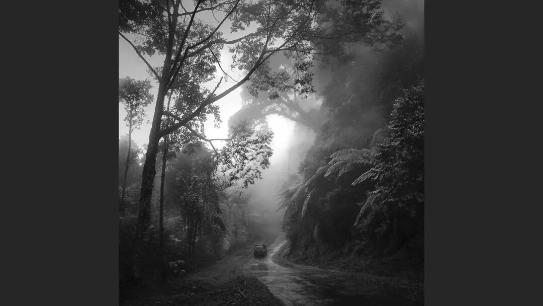 Hasselblad Masters Appreciation! My 5 Favorite Winners of the Hasselblad Masters Competition~ · Fig. 19