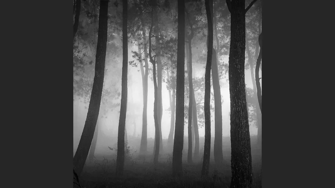 Hasselblad Masters Appreciation! My 5 Favorite Winners of the Hasselblad Masters Competition~ · Fig. 21