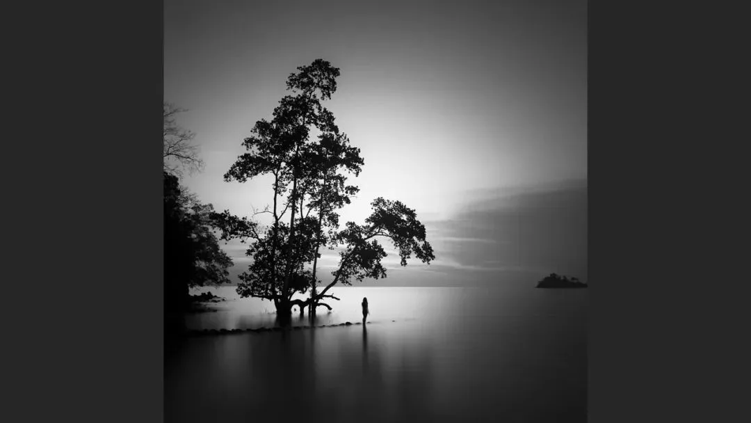 Hasselblad Masters Appreciation! My 5 Favorite Winners of the Hasselblad Masters Competition~ · Fig. 23