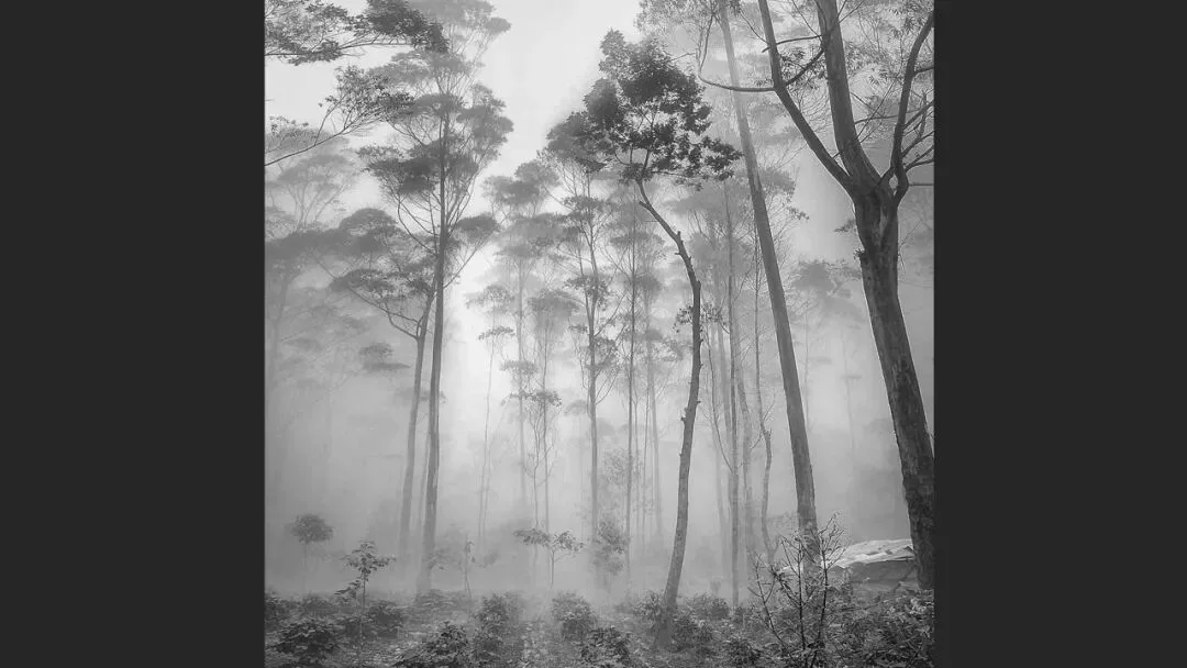 Hasselblad Masters Appreciation! My 5 Favorite Winners of the Hasselblad Masters Competition~ · Fig. 24