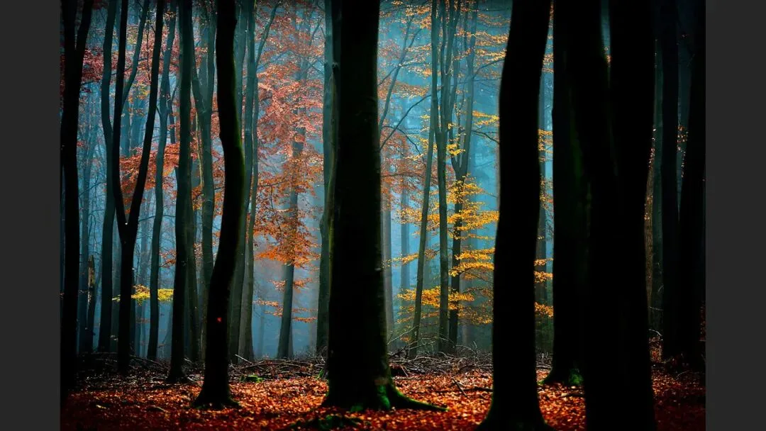 Hasselblad Masters Appreciation! My 5 Favorite Winners of the Hasselblad Masters Competition~ · Fig. 30