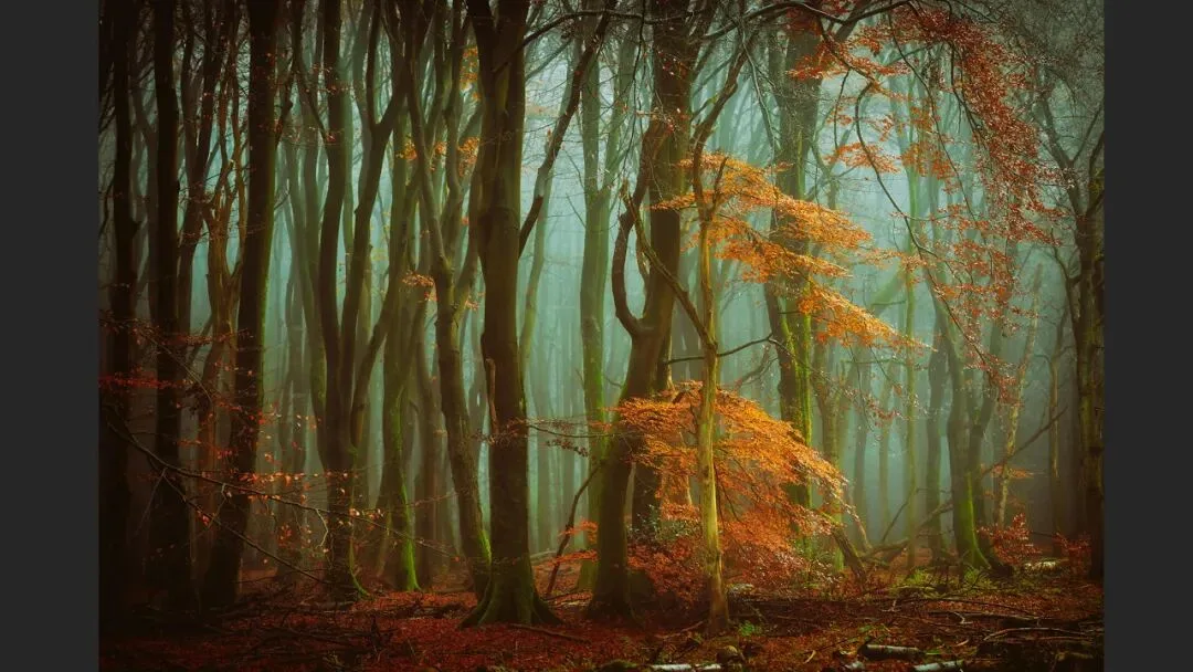 Hasselblad Masters Appreciation! My 5 Favorite Winners of the Hasselblad Masters Competition~ · Fig. 35