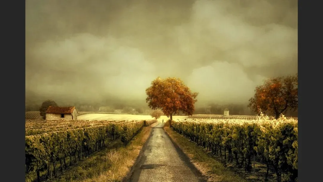 Hasselblad Masters Appreciation! My 5 Favorite Winners of the Hasselblad Masters Competition~ · Fig. 37