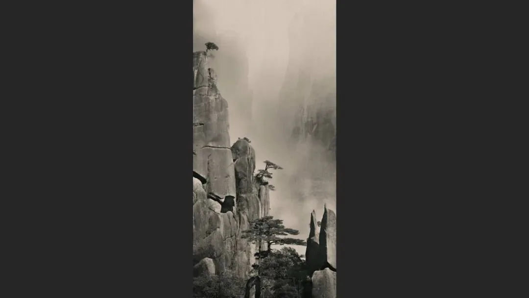 Hasselblad Masters Appreciation! My 5 Favorite Winners of the Hasselblad Masters Competition~ · Fig. 64