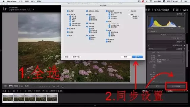 摄影中的景深合成，你想知道的都在这儿！ · 图10