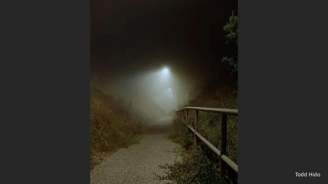Great Shots in Fog and Haze? Ideas for Fog, Haze and Sandstorm Photography · Fig. 39