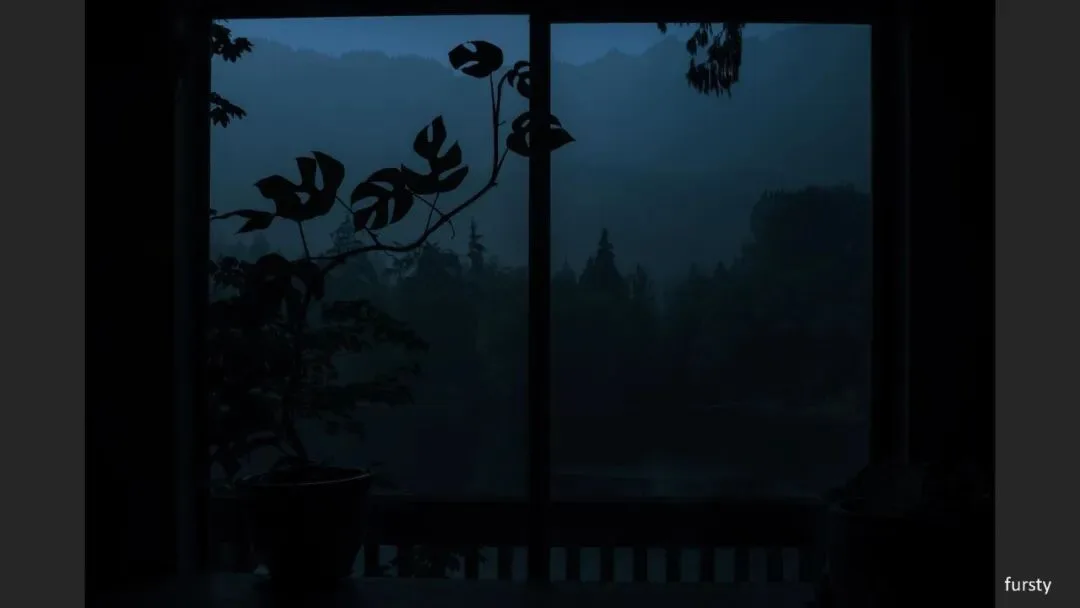 Great Shots in Fog and Haze? Ideas for Fog, Haze and Sandstorm Photography · Fig. 55