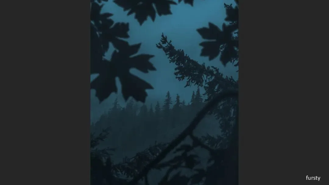 Great Shots in Fog and Haze? Ideas for Fog, Haze and Sandstorm Photography · Fig. 56