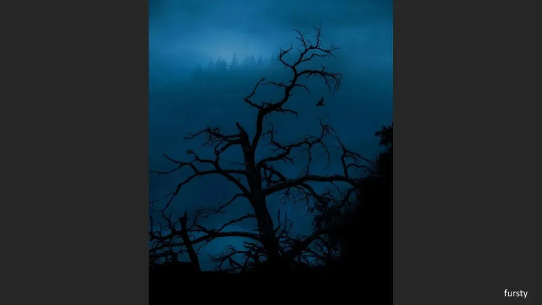 Great Shots in Fog and Haze? Ideas for Fog, Haze and Sandstorm Photography · Fig. 57