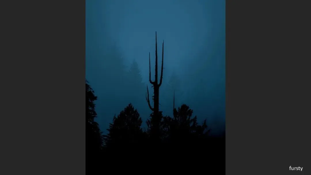Great Shots in Fog and Haze? Ideas for Fog, Haze and Sandstorm Photography · Fig. 58