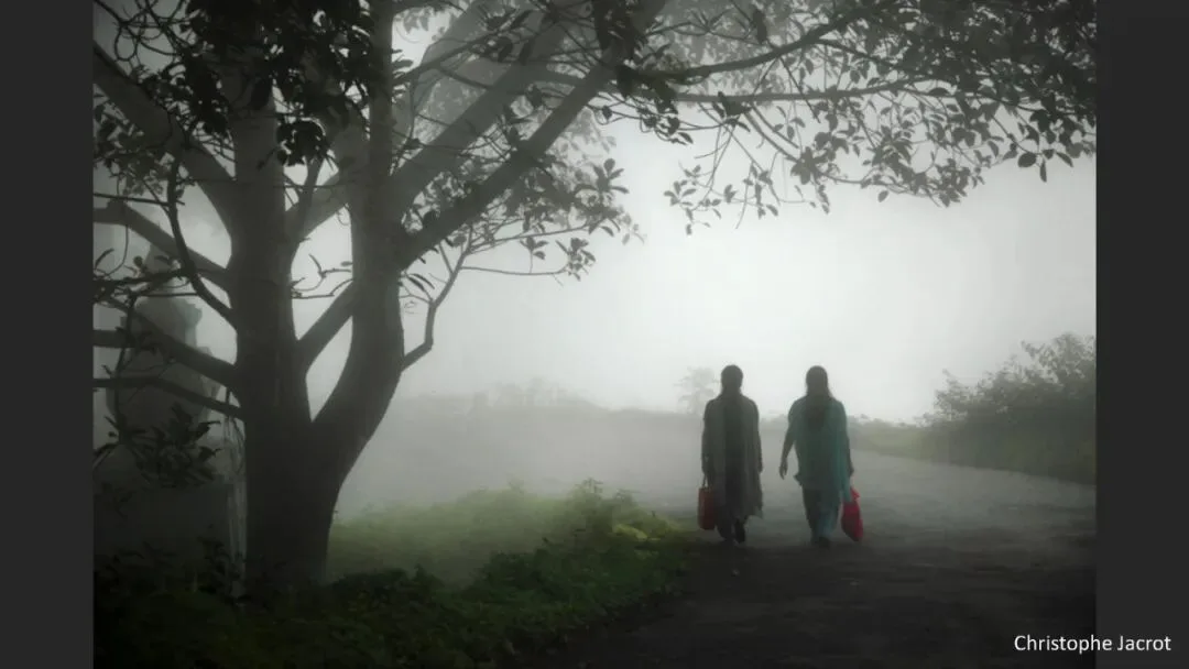 Great Shots in Fog and Haze? Ideas for Fog, Haze and Sandstorm Photography · Fig. 59