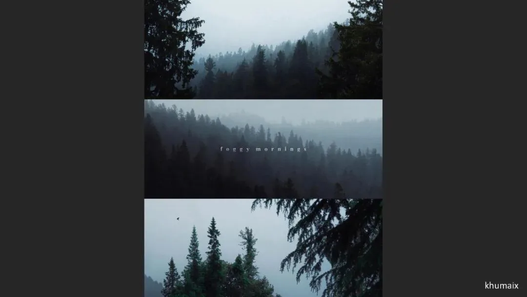 Great Shots in Fog and Haze? Ideas for Fog, Haze and Sandstorm Photography · Fig. 66