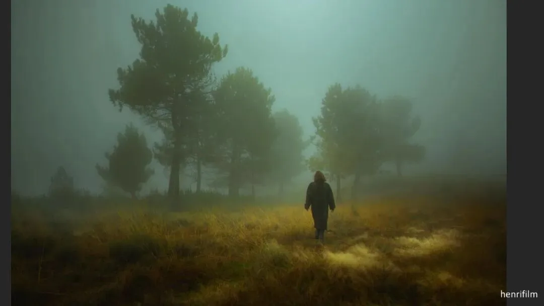 Great Shots in Fog and Haze? Ideas for Fog, Haze and Sandstorm Photography · Fig. 70
