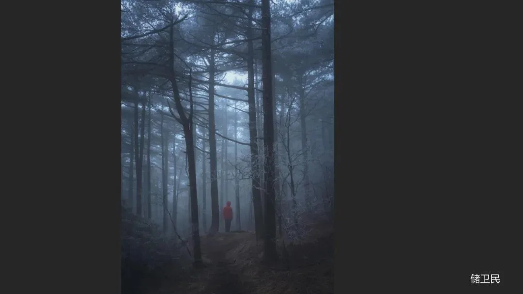 Great Shots in Fog and Haze? Ideas for Fog, Haze and Sandstorm Photography · Fig. 87