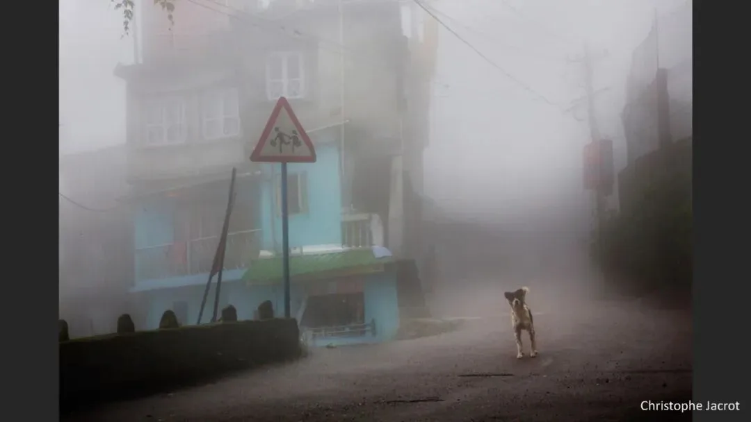 Great Shots in Fog and Haze? Ideas for Fog, Haze and Sandstorm Photography · Fig. 90