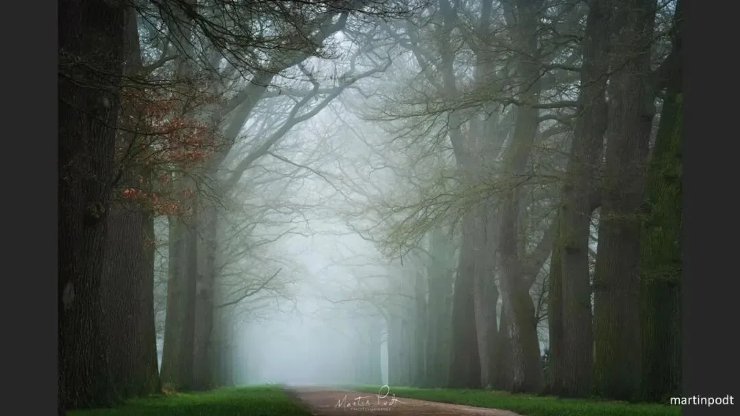 Great Shots in Fog and Haze? Ideas for Fog, Haze and Sandstorm Photography · Fig. 97