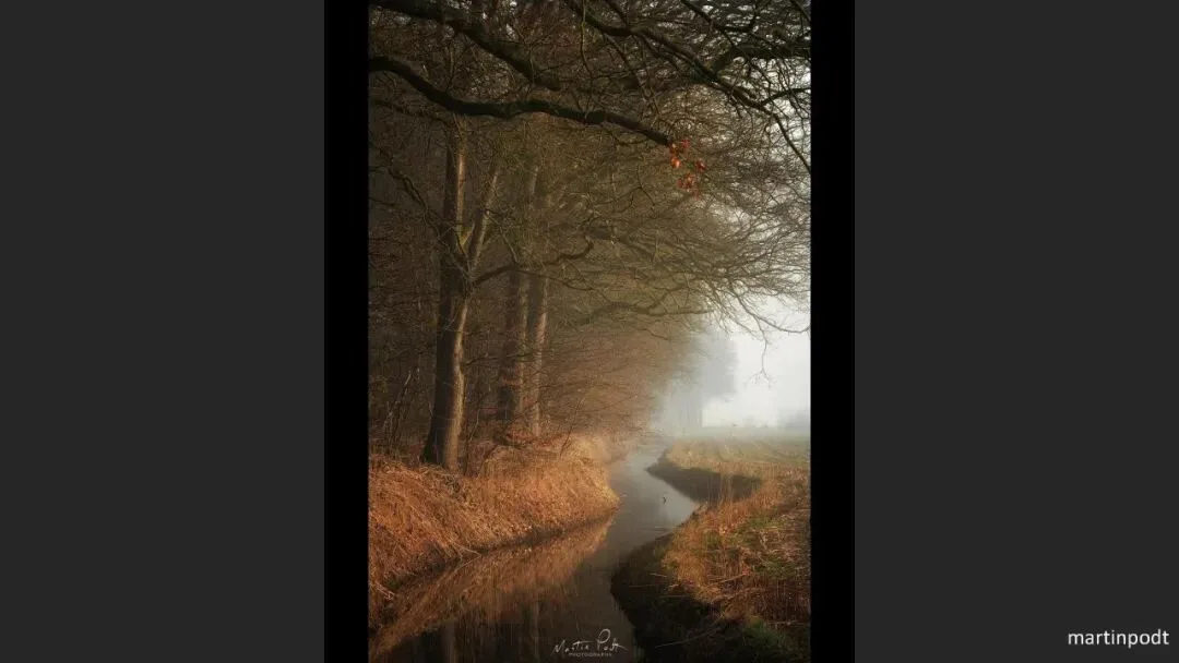 Great Shots in Fog and Haze? Ideas for Fog, Haze and Sandstorm Photography · Fig. 98