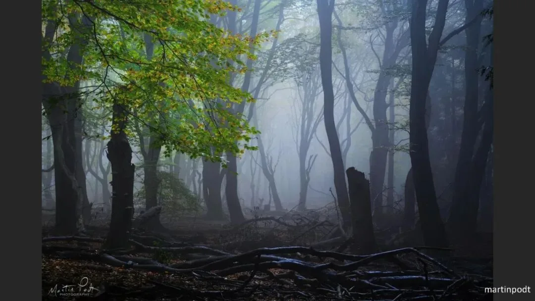 Great Shots in Fog and Haze? Ideas for Fog, Haze and Sandstorm Photography · Fig. 99