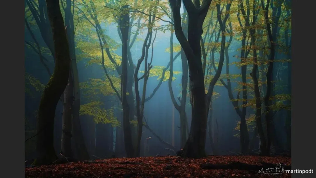 Great Shots in Fog and Haze? Ideas for Fog, Haze and Sandstorm Photography · Fig. 100