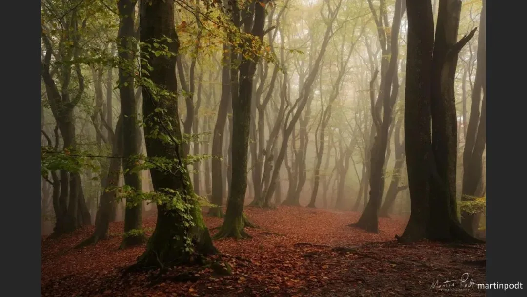 Great Shots in Fog and Haze? Ideas for Fog, Haze and Sandstorm Photography · Fig. 101
