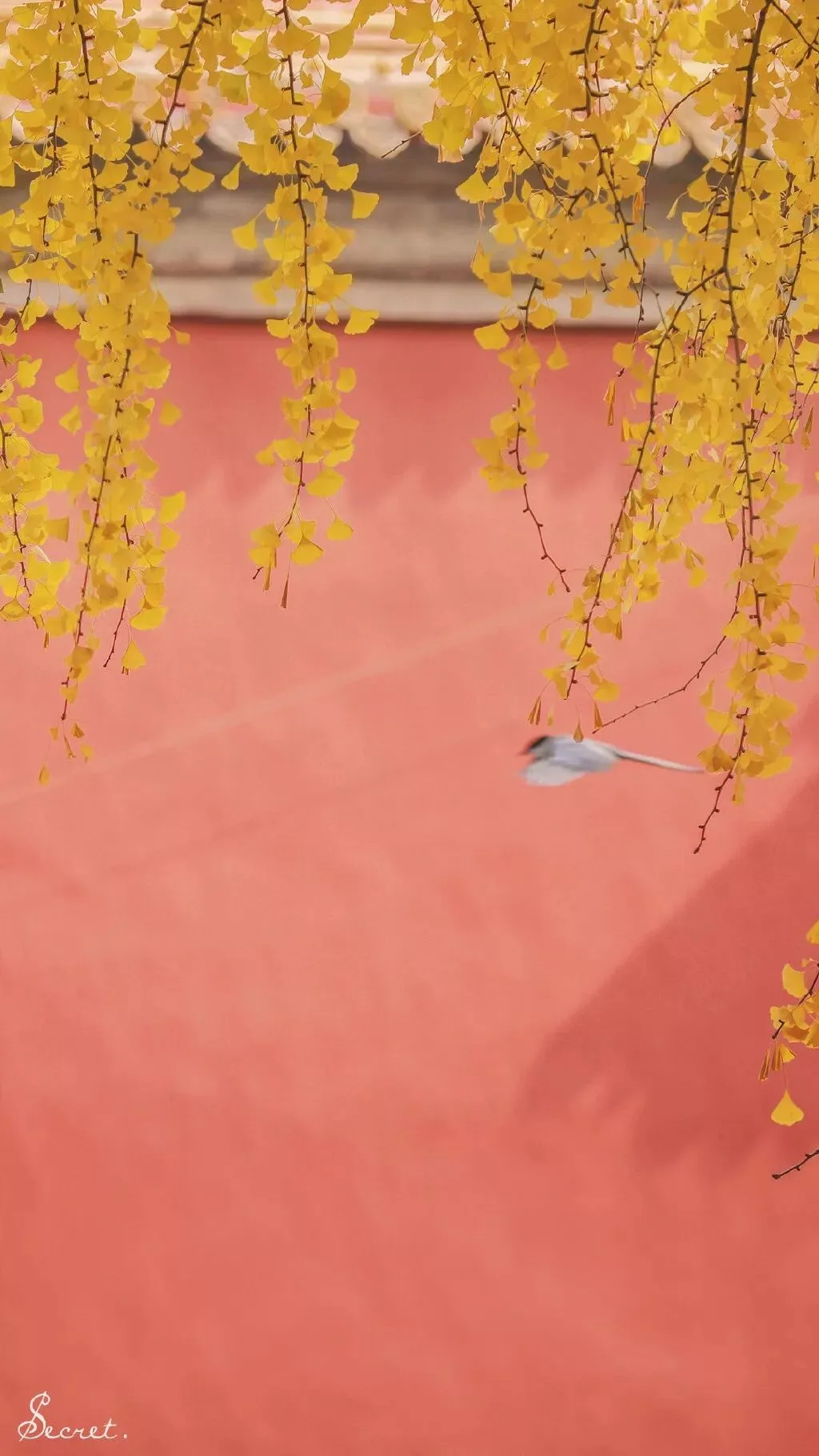 The Forbidden City Through These Photographers' Lenses Is Unbelievably Beautiful! · Fig. 18