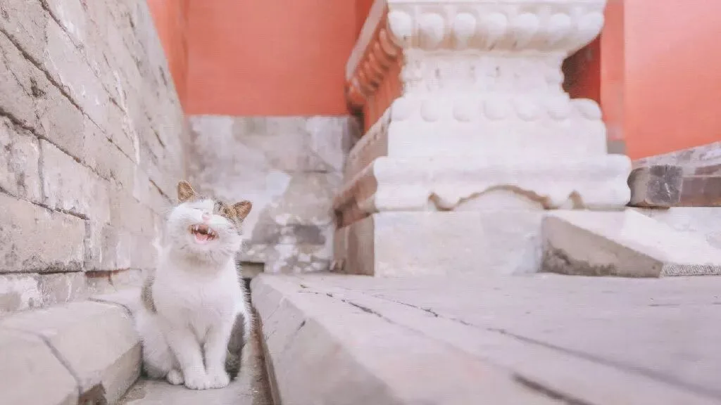 The Forbidden City Through These Photographers' Lenses Is Unbelievably Beautiful! · Fig. 19