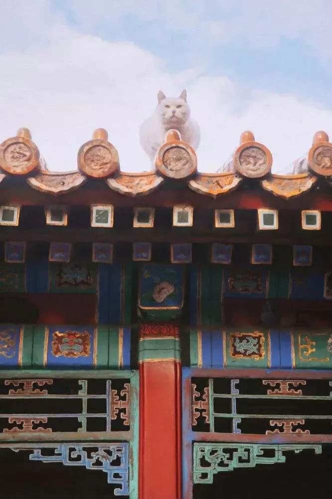 The Forbidden City Through These Photographers' Lenses Is Unbelievably Beautiful! · Fig. 22