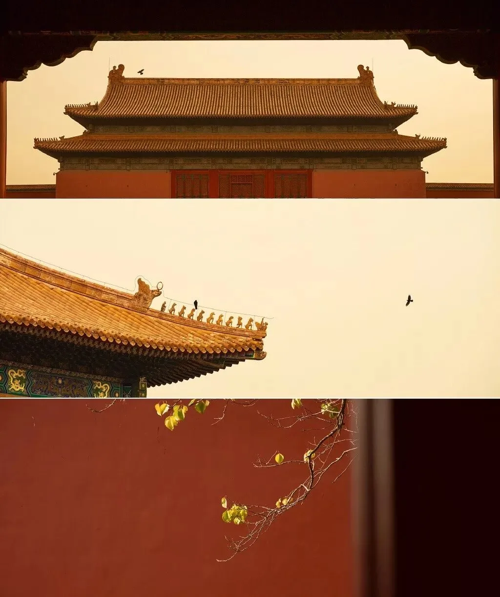 The Forbidden City Through These Photographers' Lenses Is Unbelievably Beautiful! · Fig. 39