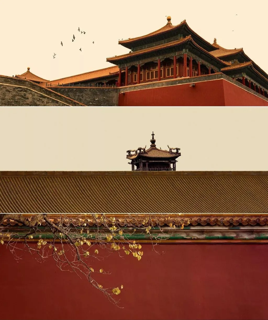 The Forbidden City Through These Photographers' Lenses Is Unbelievably Beautiful! · Fig. 42