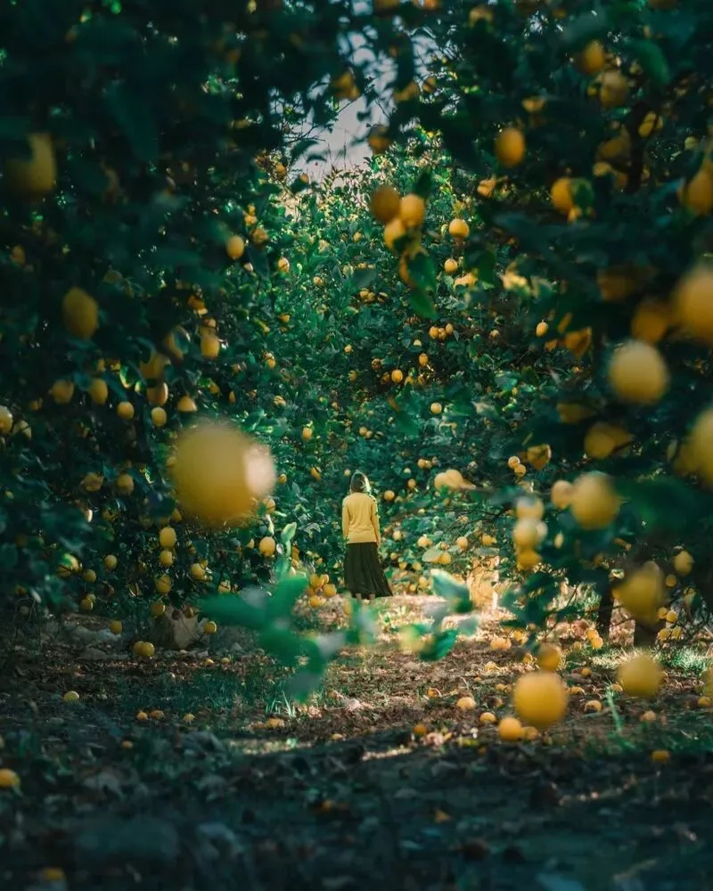 Tired of Tourist Snapshots on Your Travels? 4 Creative Photographers Recommended · Fig. 5