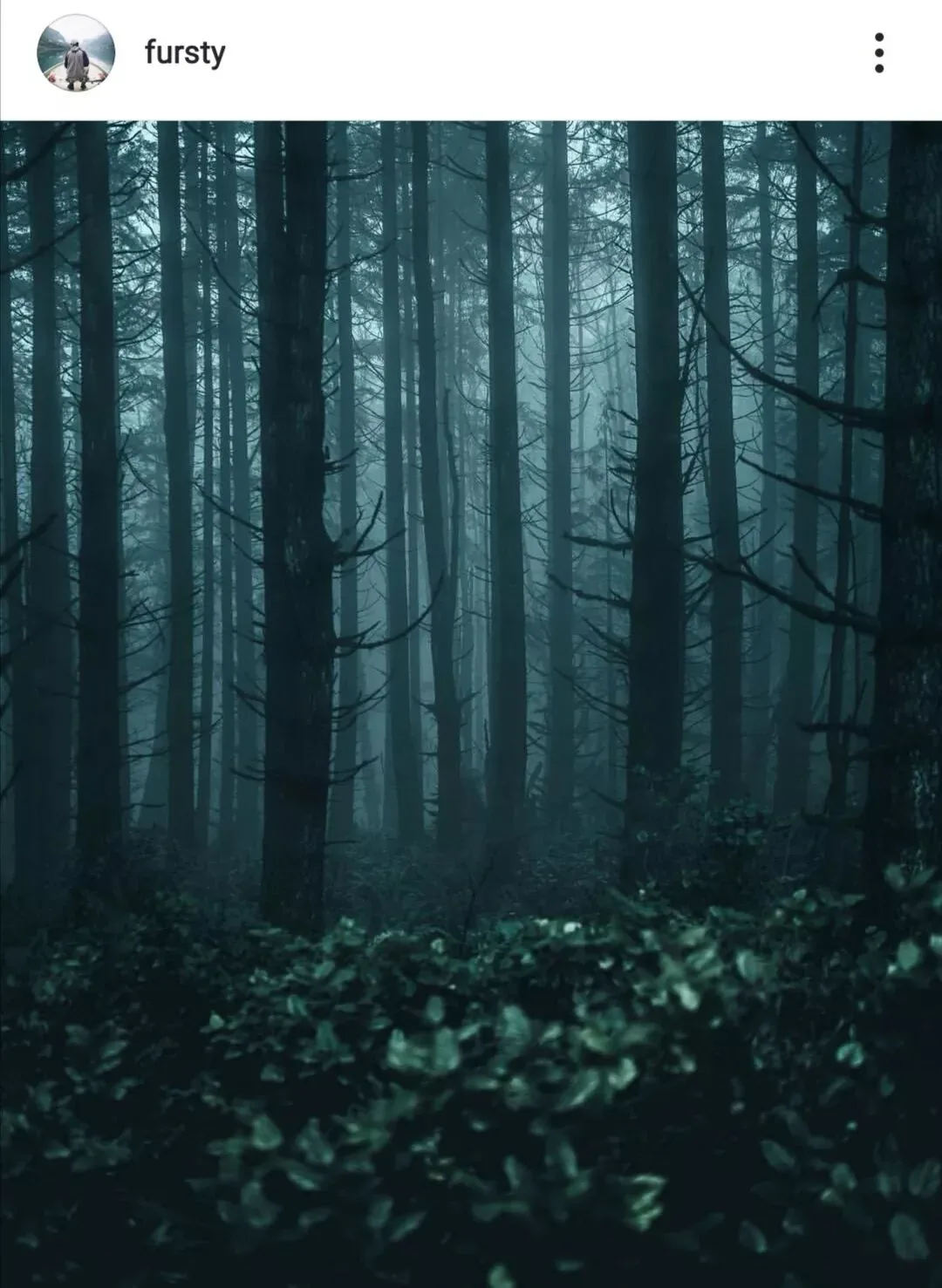 Incredible Color! These 4 Instagram Photographers Master the Use of Teal! · Fig. 2